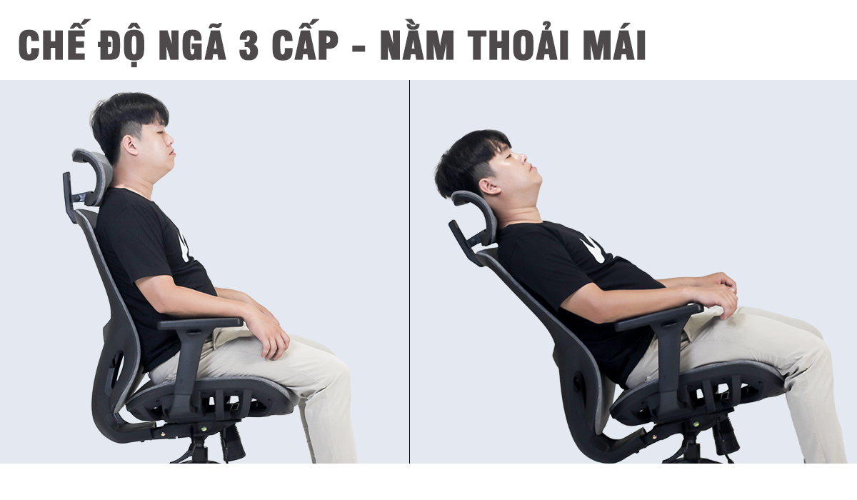 Ghế công thái học Gipawork Cozy